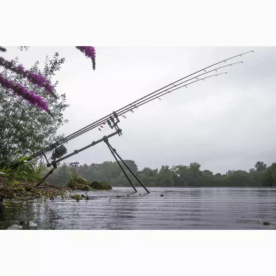 Fox Ranger MK2 Camo Pod 4 Cañas - Imagen 13